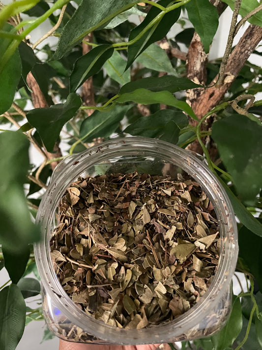 Uva Ursi Leaf