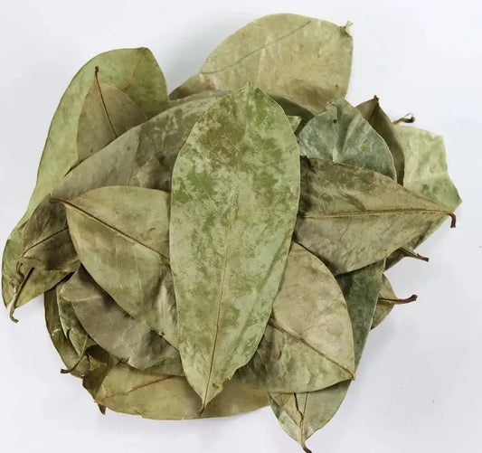 Soursop Leaves